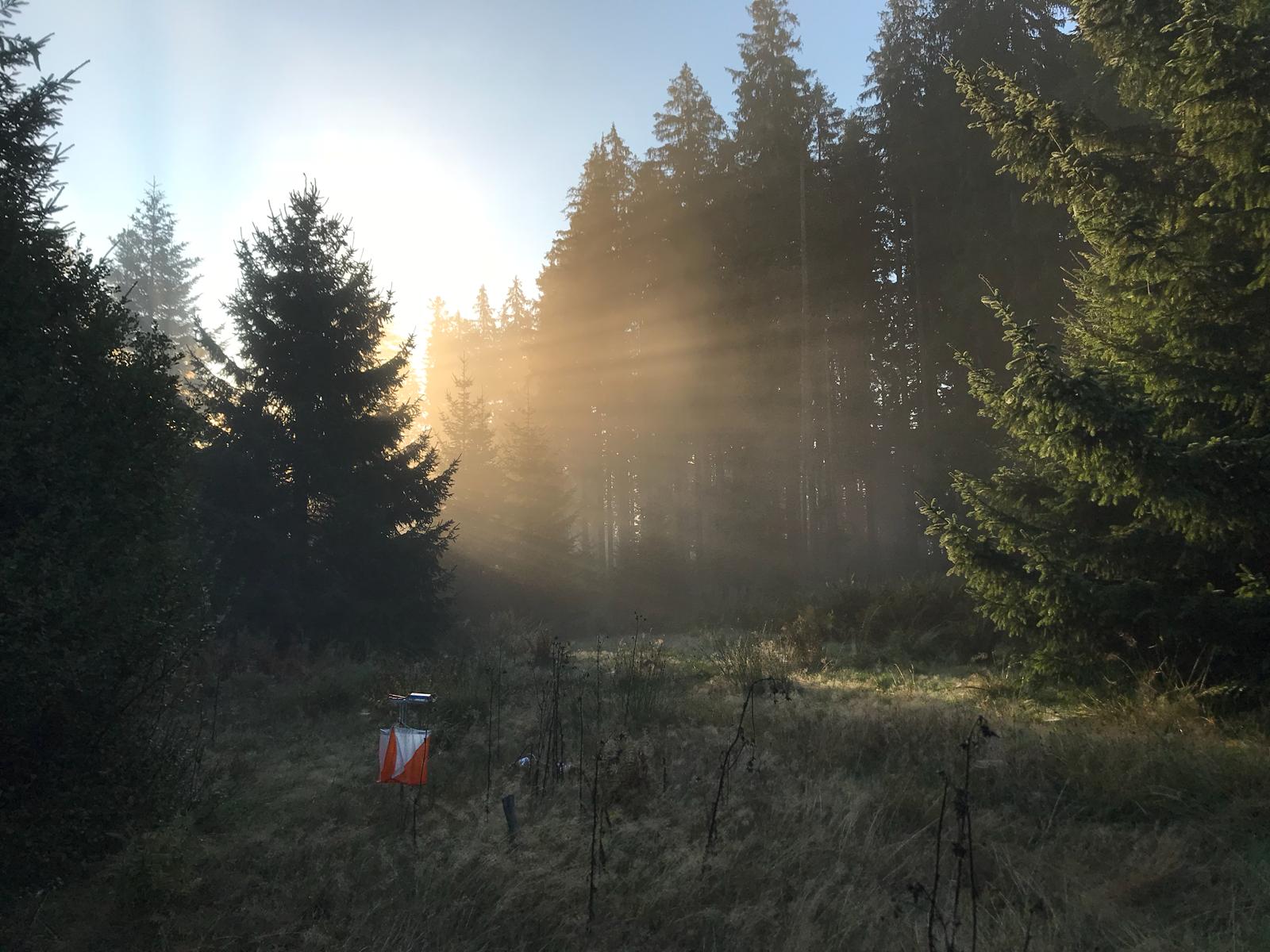 WhatsApp Image 2023 08 22 at 07.49.03