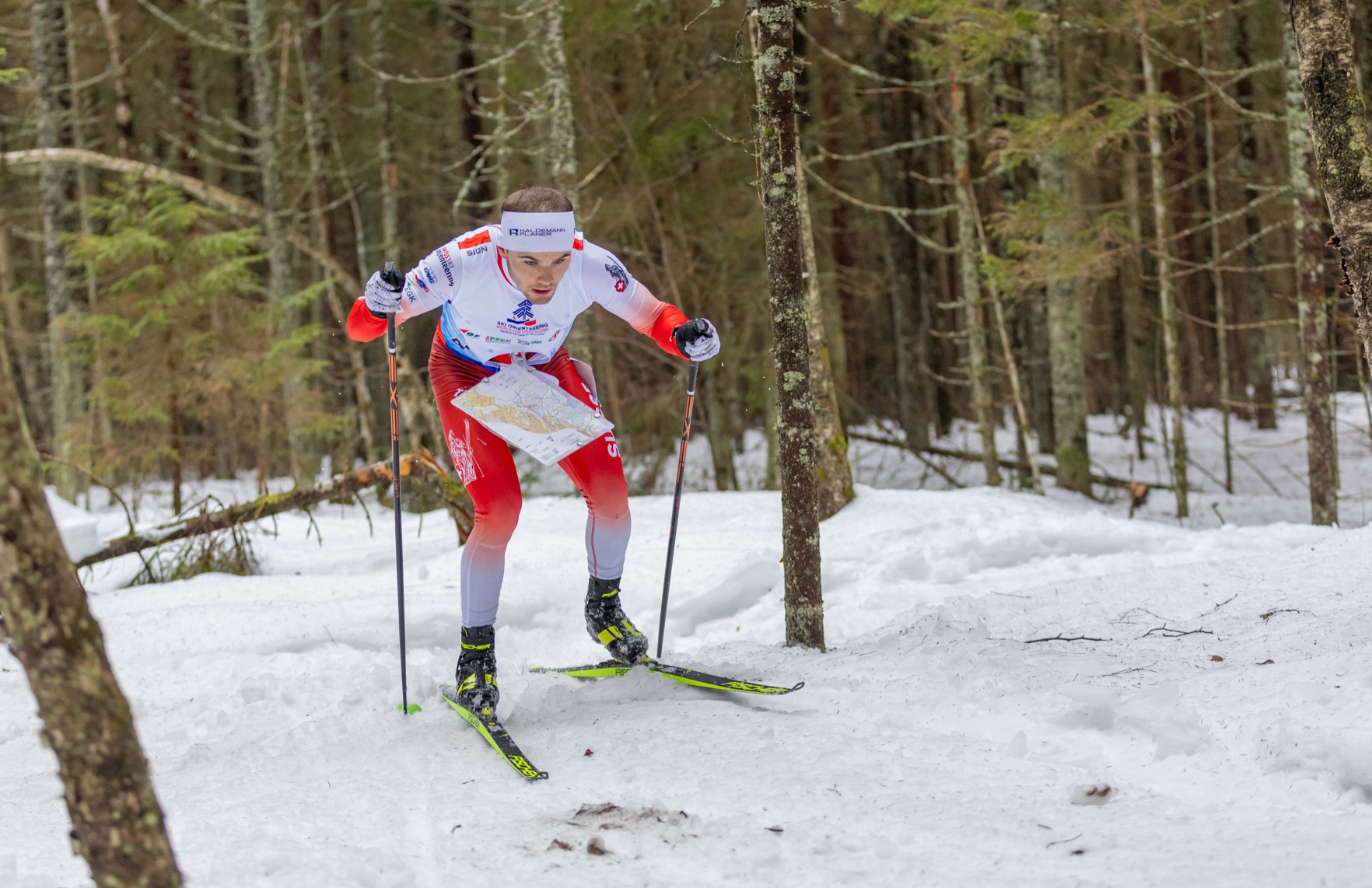 2024 wcup andrijordi