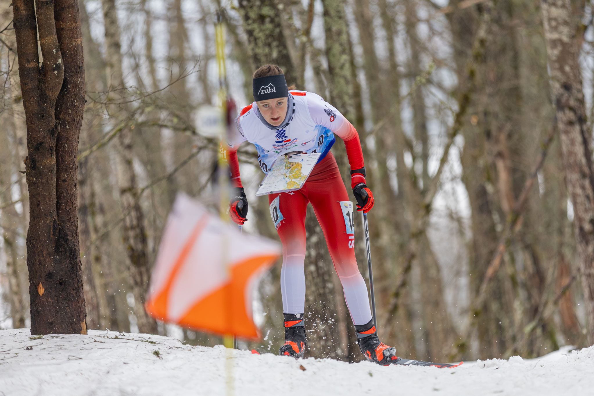 417458487 787512853396893 5898997406033437822 n