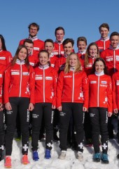 Elite-WM, Junioren-WM, Jugend-EM