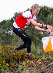 em14 qlong brodmann1