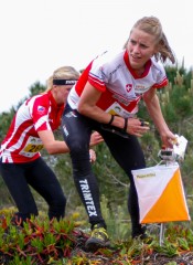 em14 qlong brodmann2