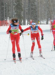 15 esco relay Diener Strub 138