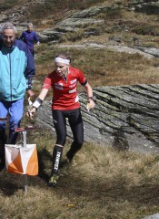 2015 7natol saraluescher 2