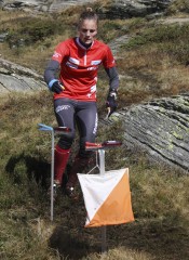 2015 7natol sarinajenzer 1