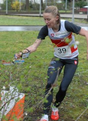 14testlauf2 brodmann