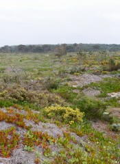 em14 qmiddle terrain1