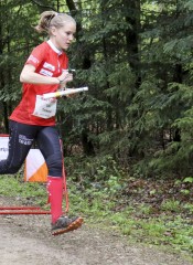 20160417 tommer sina