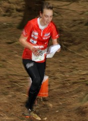 2016 eoc middle q holer lisa