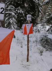 EYSOC JWSOC ESOC Blick ins Gel  nde