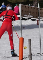 P1620549 Niggli Alina