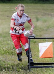 wm14 lang brodmann ines 2