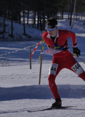 Middle M  llerGianAndri 1