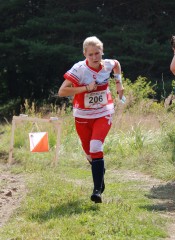 junwm14 mittel tommer sina2