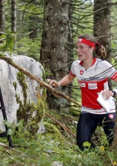 OL WM 14 Mitteldistanz