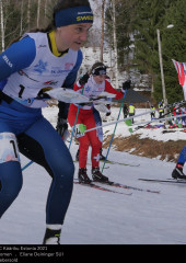 (Sprint-)Staffel 28.2.