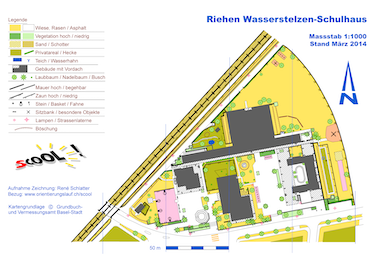 Riehen Wasserstelzen